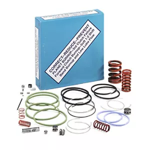TransGo SKRE4R01A Shift Kit JR403E RE4R01A RL4R01A RE4R03A R4AEL ATAXLE R4AXEL - Foto 1 di 2