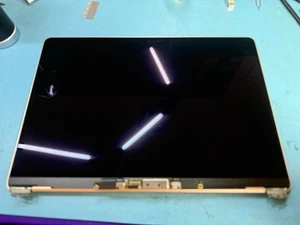 Apple OEM MacBook Air Retina A1932 2018 2019 13.3" LCD Screen Replacement Gold - Picture 1 of 7