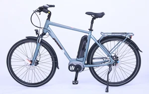 E-Bike Cityrad 250W mid-motor (90Nm),motor 36v 17.5ah 630Wh battery from Samsung - Bild 1 von 8