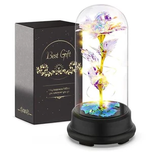 Preserved Flower Rose Gift in A Dome,Valentines Day Gift for Her,Preserved Ro... - Picture 1 of 6