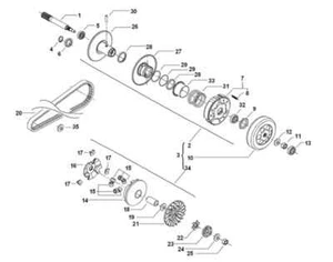 SFM / Sachs clutch J213100.010000 SFM Speedforce from 2011 - Picture 1 of 1