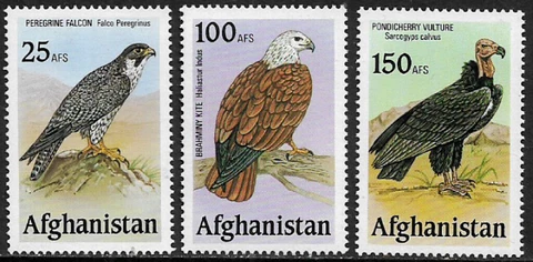 Afghanistan MNH Set of 3 - Birds of Prey (013) Cover