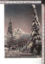 0131 - POST CARD CARD CARD (TRAVELED, DOLOMITES FIERA DI PRIMIERO SASS MAOR)