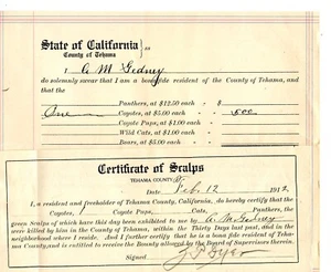 1912 Historical SCALP BOUNTY document Tehama co. RARE EPHEMERA FRAMEABLE - Picture 1 of 3