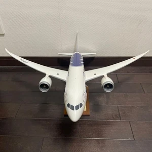 Ana 787-8 Ja801A Special Livery Maßstab 1:100 Modellflugzeug Diecast Metall - Bild 1 von 5