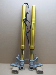 Aprilia Tuono V4 1100 Factory 2020 4,534 miles fork tube stanchions (12535) - Picture 1 of 24