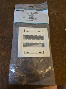 Panduit CFPE10IW-2GY mini-com faceplate, double gang - 10 module spaces. - Picture 1 of 3