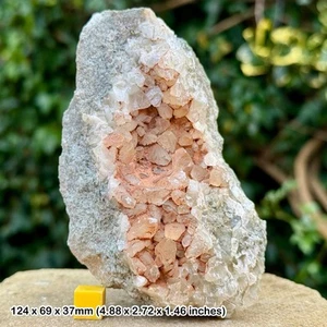Rare calcite crystals in vug - sidmouth mudstone formation, triassic, sidmouth, - Picture 1 of 2