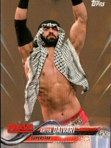2018 Topps WWE Wrestling Card Insert Bronze Parallel #9 Ariya Daivari - Picture 1 of 2