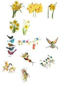 Choice of various Daffodils or various small birds A5 writing paper / 20 sheets - Picture 1 of 7