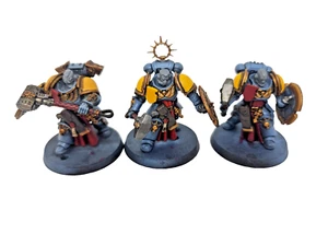 Warhammer 40k Space Marine Bladeguard Lupi Spaziali Giochi Dipinti Officina 40 k - Foto 1 di 9