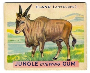 SET BREAK (R78) 1933 Jungle Chewing Gum Card #2 ELAND - Bild 1 von 2