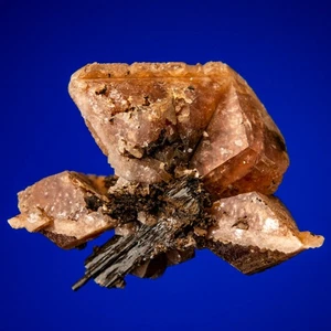 Melanson TN Coll Rodocrosite con Aegirine Mont Saint-Hilaire Canada 1212-4401 - Foto 1 di 3