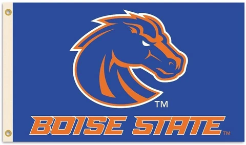 BSI NCAA College Boise State Broncos 3 X 5 Foot Flag with Grommets Cover