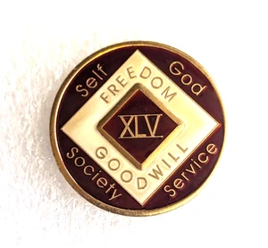 Dr Bob & Friends of Bill NA Sobriety Recovery 45 Year Coin - Enamel Finish - Picture 1 of 3