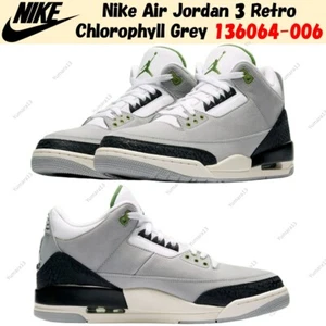 Nike Air Jordan 3 Retro Chlorophyll Grey 136064-006 Men's Size - Picture 1 of 8