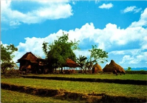 Postal Filipinas Nipa Hut 6x4 - Imagen 1 de 2