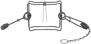 3 Duke 330 Trap Bodygrip Beaver Raccoon Trap Bobcat Survival Trapping - Picture 1 of 1