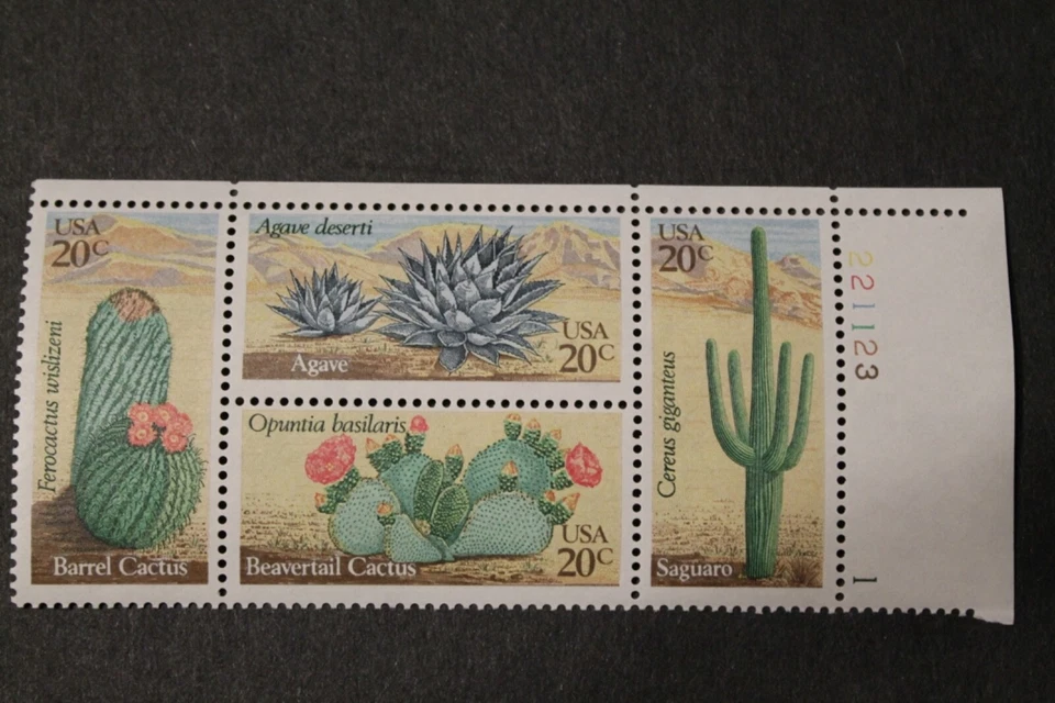 US Stamps 1942-45 Desert Plants Plate Block (UR) MNH - Image 1 of 1