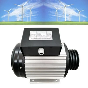 Inverter Brushless Generator 220V 10KW for Hydro Turbine Speed Control Systems - Picture 1 of 20