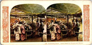 Yokohama, Japan, Beautiful Women, Flowers, c1890, Stereoview, #ST486 - Picture 1 of 2