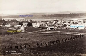 WAIPAWA, New Zealand - Seen here c1880 - Picture 1 of 1