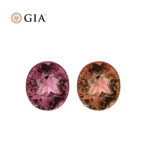GIA Certified Huge Rare Color Change 31.80CT Tourmaline Pink to Orange - Picture 1 of 11