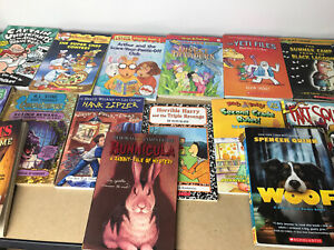 BOY Lot of 20 Chapter Books Children's Youth Readers Home School RANDOM MIX