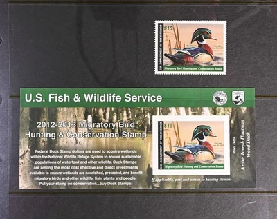 USA Scott #RW79, RW79A VF OG NH Ducks 2013 Stamp Cat $77 - Image 1 of 2