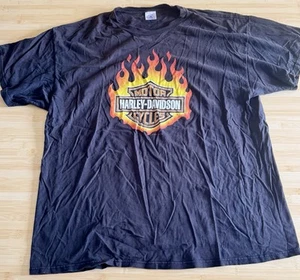 T-shirt Harley Davidson Motorcycles (XXL) logo fuoco anni 90 vintage fiamme motociclista - Foto 1 di 7