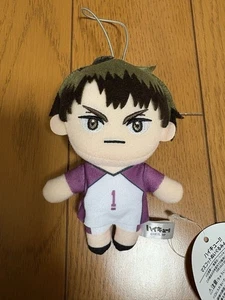 Haikyuu Peluche Giocattolo Ushijima Wakatoshi Cinghia - Foto 1 di 3