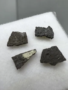 RARE Lot Of 4 Maiasaura Eggshell USA Dinosaur Fossil Fossile Dinosaure Fossilien - Picture 1 of 8