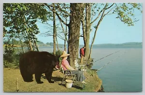 Postal cromada de pesca con un oso negro huele a oso apestoso - Imagen 1 de 2