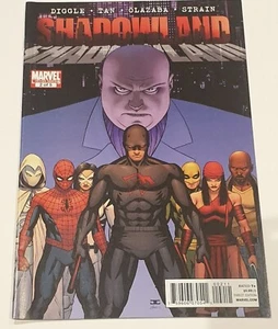 Shadowland - Limited Series 2 of 5 - Diggle, Tan, Olazaba, Strain - Marvel Comic - Picture 1 of 1