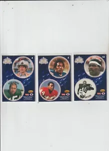 TED WILLIAMS FOOTBALL 1994 18-CARD POGS SET COMPLETO CON T.BRADSHAW, W.PAYTON - Foto 1 di 1