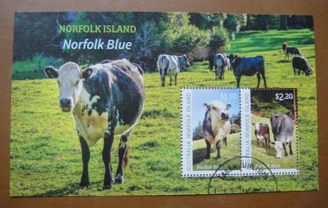 Norfolk Island 2020. Norfolk Blue. Mini-Sheet Postmarked Cover
