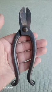 Antique Japanese Meiji Period Bonsai Tree Scissors Shears Hand Forged SIGNED - Picture 1 of 10