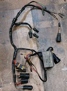 Harness Fits 1996 Evinrude 35hp 2-stroke outboard engine wiring harness E35QLEUR - Picture 1 of 14