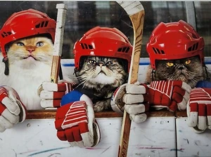 Divertida Tarjeta de Felicitación de Feliz Cumpleaños Avanti Press "¡Gato en la Caja de Penalización!" - Imagen 1 de 3