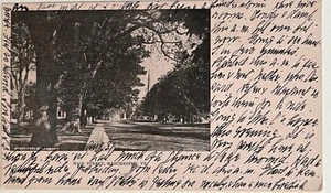 Manchester Vermont Main Street Antique Postcard c1900 - Picture 1 of 6