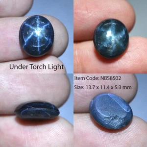 9.20 Ct 13.7x11.4 MM Natural Blue Star Sapphire 6 Rays Corundum VDO NBS8502 - Picture 1 of 6