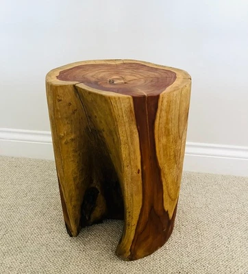 Table tronc d'arbre tabouret rond bois sculpté à la main extrémité latérale lampe support meuble - Photo 1/4