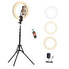 12" Selfie Ring Light with 63" Tripod Stand/Phone Holder, QEUOOIY 18W LED 