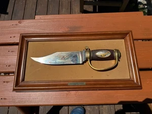 Franklin Mint The American Eagle Bowie Knife Ronald Van Ruyckevelt with Frame - Picture 1 of 4
