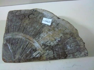 Logging/Lumbering Wood Log End with Stamped Insignia S-S Bay City, Mich~LG63 - Picture 1 of 5