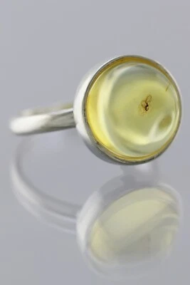 Anillo Ajustable Plata Ámbar Báltico Genuino Inclusión Insecto Fósil 191029-18 Foto 1 de 4