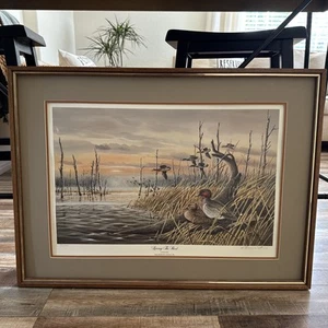 Ron Wells Texas Ducks Unlimited Edition Print - Artist Proof 940/4500 Signed - Picture 1 of 6