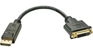 LINDY 41004 Monitor Adapterkabel, DisplayPort Stecker zu DVI-Buchse, 15 cm - Bild 1 von 3