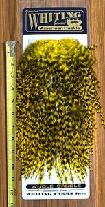 Sella gallo americano Whiting, giallo tinto grizzly, legatura a mosca - Foto 1 di 2