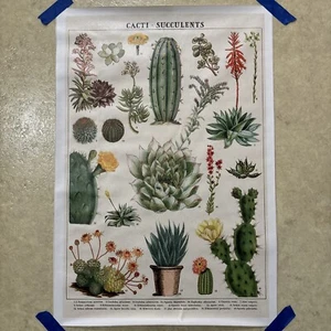 Vintage Style Botanical Cactus Poster ✅ Canvas Wall Art ✅ 16x24 inch - Unframed - Picture 1 of 4